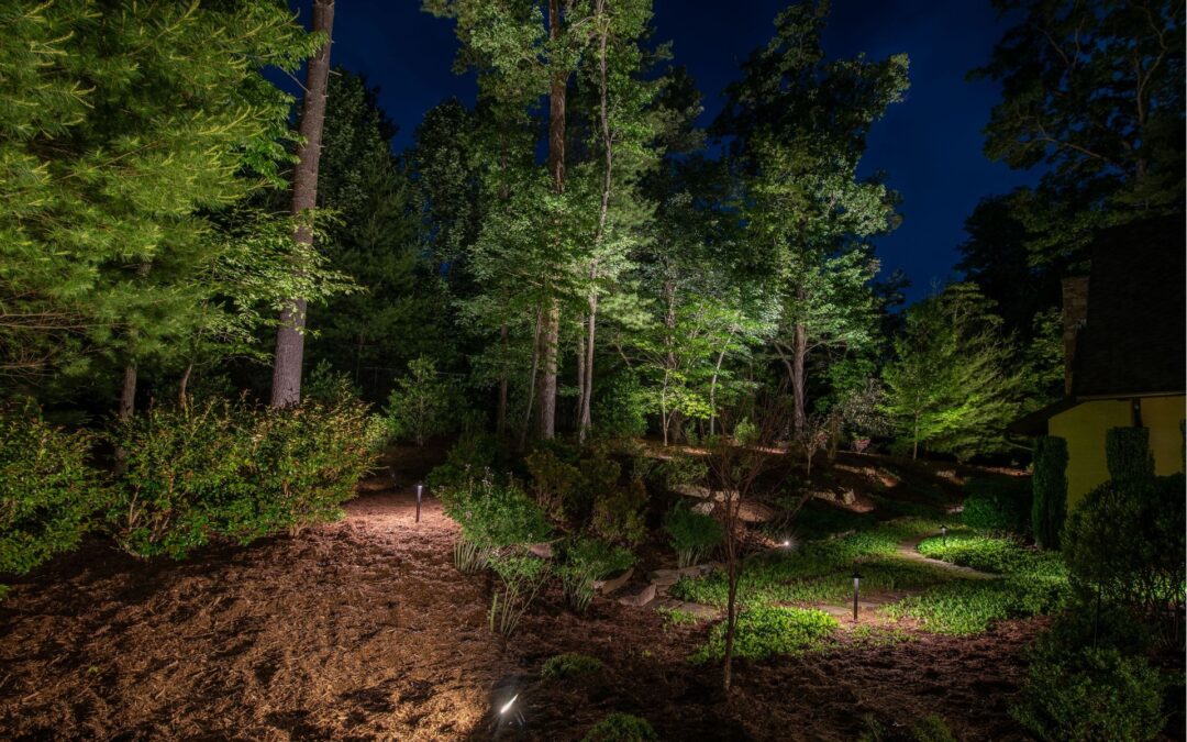 75_Chauncy_BackYard_Beauty_AshevilleOutdoorLighting