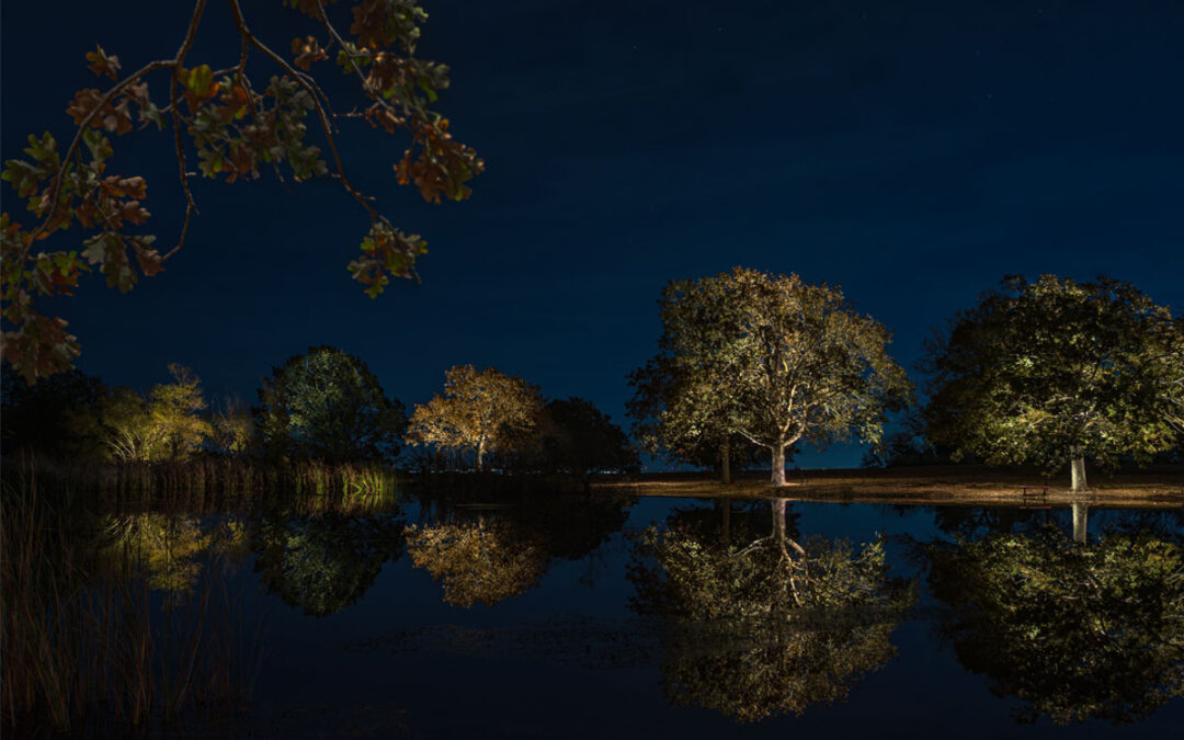 Mastering Landscape Lighting Photography : Tips, Techniques, and Post-Production for Stunning Visuals