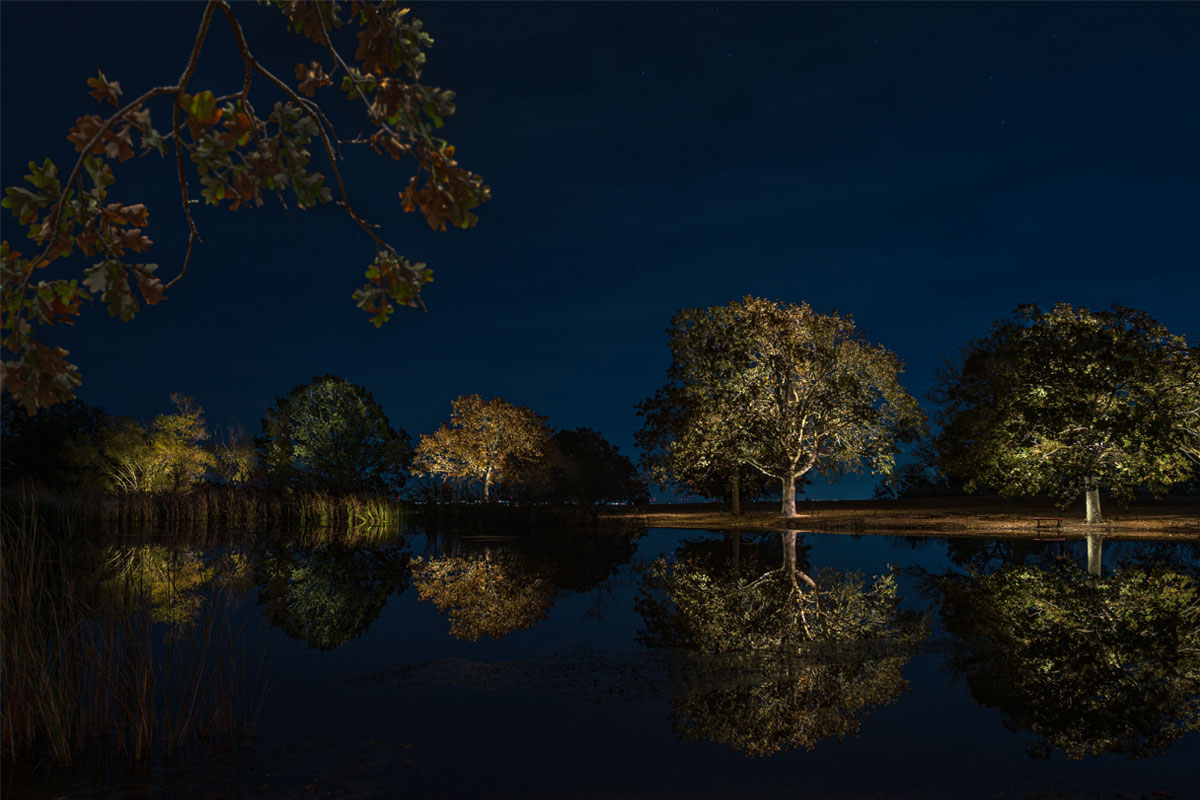 Mastering Landscape Lighting Photography : Tips, Techniques, and Post-Production for Stunning Visuals