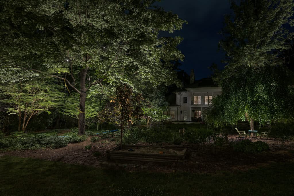 Outdoor lighting illuminating tall trees across a property, showcasing the importance of including outdoor lighting while planning a new landscape. 
