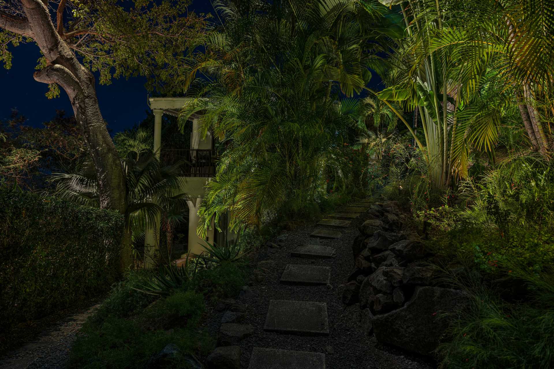 Fogardy.Backyard