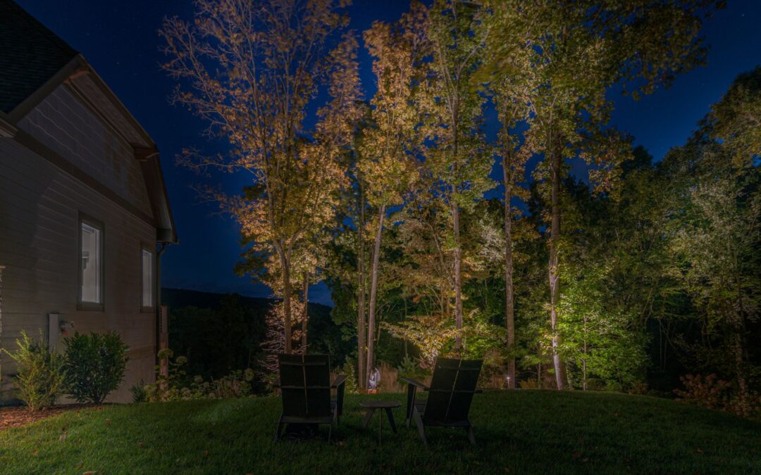 Hammonds Trees with Chair